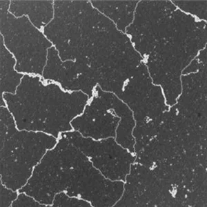 harga granit nero absoluto cilegon